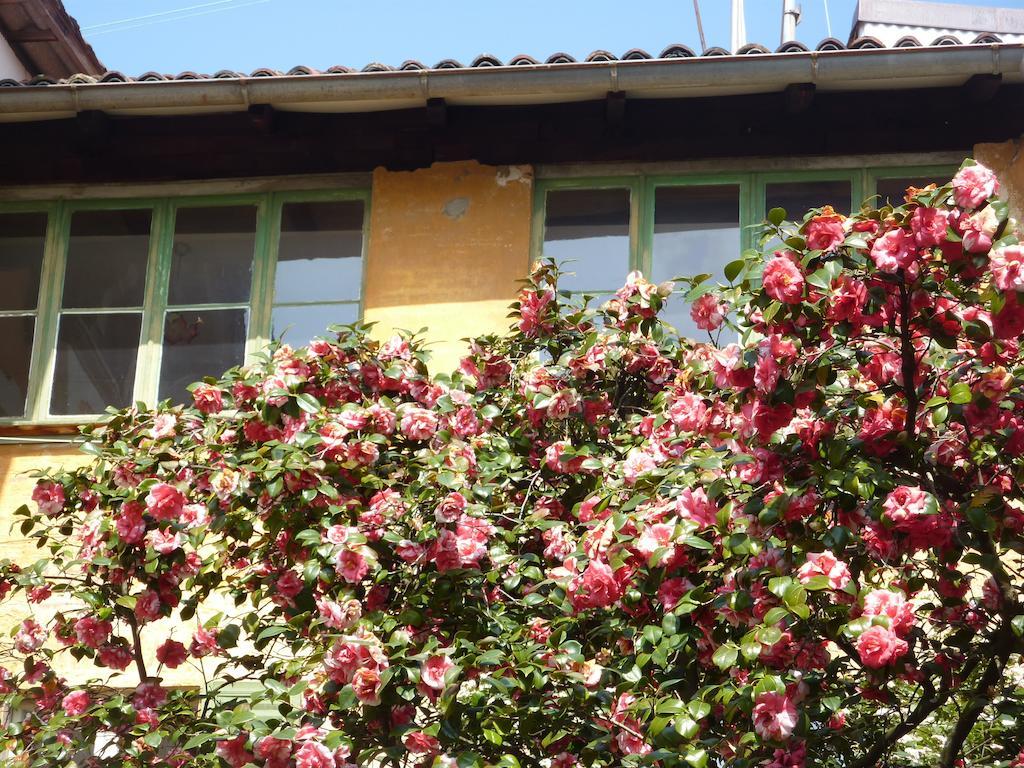 Ca Melia Bedigliora Apartment Exterior foto